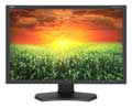 NEC 24IN LCD MNTR 1920X1200 P241W-BK DUAL DVI-D VGA BLK CABINET