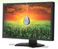 NEC 24IN LCD MNTR W/ SPECTRAVIEW II BNDL IPS 1920X1200 DUAL DVI-D VGA