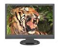 NEC LCD22WV-BK 22 inch Wide Screen 5ms 1000:1 LCD Monitor (Black)