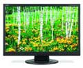 NEC 22IN LCD 1680X1050 1000:1 ACCUSYNC AS221WM-BK DVI BLACK