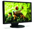 NEC 24IN LCD 1920X1200 1000:1 EA241WM VGA DVI BLK 5MS SPKR PVT