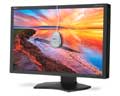 NEC 24IN WS LCD 1920X1200 1000:1 PA241W-BK-SV VGA DVI-D SPECTRAVIEW