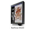Eizo 21.3IN LCD COLOR 2MP 1200X1600 MEDICAL 2DVI-D RADIFORCE 5YR WARR