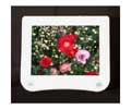 Miracle Business 10IN TFT LCD VGA/DVI 800X600 350NITS 300TO1 PHOTOSTAND W/SPK WHT