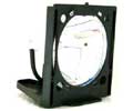 DataStor OEM REPLACEMENT LAMP SANYO POA-LMP14