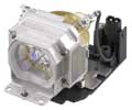 DataStor REPLACEMENT LAMP FOR OEM LAMP SONY LMP-E190
