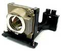 DataStor OEM REPLACEMENT LAMP BENQ 60.J3416.CG1